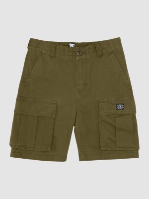 DC Tundra Cargo Shorts ID 690976 Blue Tomato